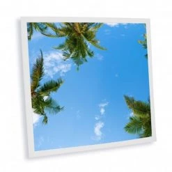 DELITECH Pack De 1 Dalle LED Imprimée - California - 600x600mm