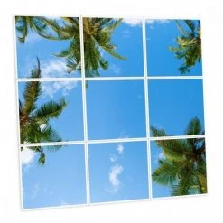 DELITECH Pack De 9 Dalles LED Imprimées - California - 600x600mm