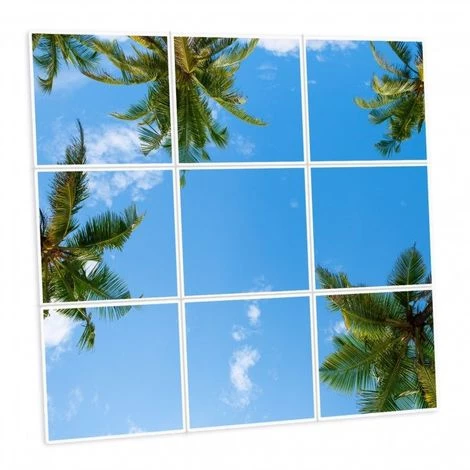 DELITECH Pack De 9 Dalles LED Imprimées - California - 600x600mm 3 DELITECH Pack De 9 Dalles LED Imprimées - California - 600x600mm