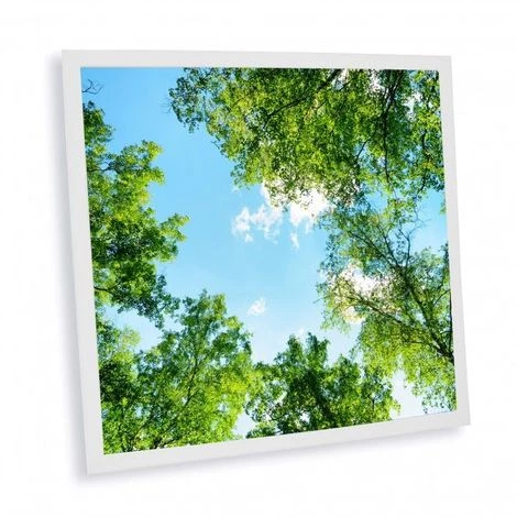 DELITECH Pack De 1 Dalle LED Imprimée - Garrigue - 600x600mm - Fabriqué En France (alimentation Non Fournie) 3 DELITECH Pack De 1 Dalle LED Imprimée - Garrigue - 600x600mm - Fabriqué En France (alimentation Non Fournie)