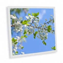 DELITECH Pack De 1 Dalle LED Imprimée - Nara - 600x600mm - Fabriqué En France (alimentation Non Fournie)