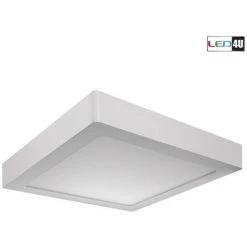 BRICOLINE Panneau LED Mince 18W Monté En Surface Blanc Naturel 4000-4500K Led4U LD156N 225 * 225 * H40mm 8 BRICOLINE Panneau LED Mince 18W Monté En Surface Blanc Naturel 4000-4500K Led4U LD156N 225 * 225 * H40mm -Panneau LED Soldes 2022 52654377 2